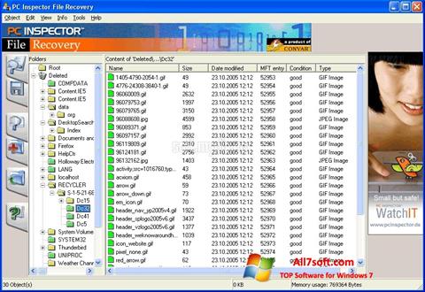 Ekraanipilt PC Inspector File Recovery Windows 7