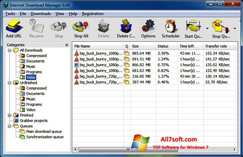 Ekraanipilt Internet Download Manager Windows 7