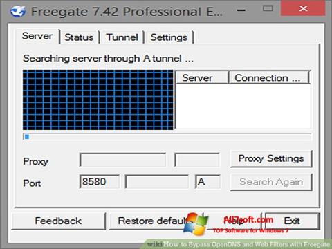 Ekraanipilt Freegate Windows 7